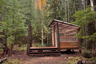 61551 Cascade River Rd, Marblemount, WA 98267 - Photo 38