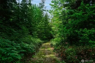 61551 Cascade River Rd, Marblemount, WA 98267 - Photo 24