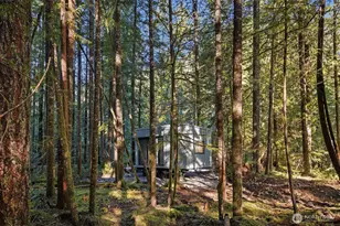 61551 Cascade River Rd, Marblemount, WA 98267 - Photo 36