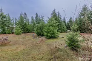 105 Jack Fir Ct E, Packwood, WA 98361 - Photo 32