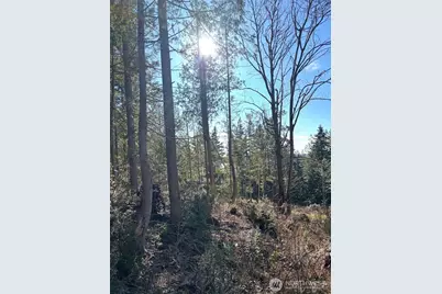 1 Nka Yashi Road, Brinnon, WA 98320 - Photo 1