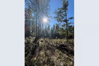 1 Nka Yashi Road, Brinnon, WA 98320 - Photo 6