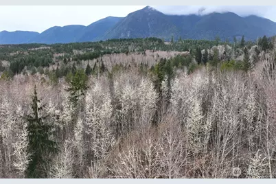 71 Elkhorn Lane, Quilcene, WA 98376 - Photo 14