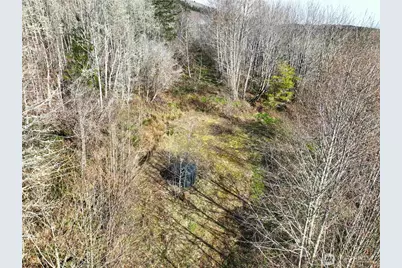 71 Elkhorn Lane, Quilcene, WA 98376 - Photo 6