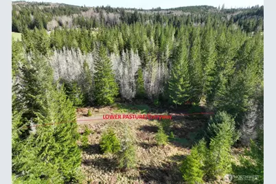 71 Elkhorn Lane, Quilcene, WA 98376 - Photo 4