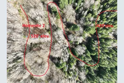 71 Elkhorn Lane, Quilcene, WA 98376 - Photo 8