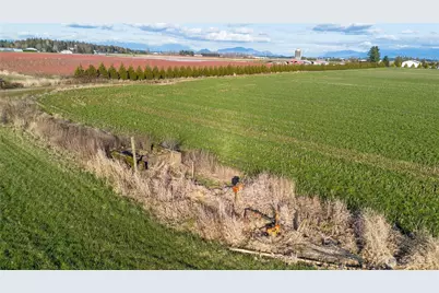 0 E Badger Road, Lynden, WA 98264 - Photo 6