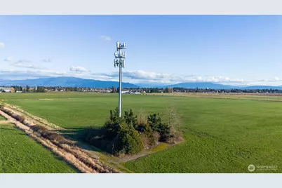 0 E Badger Road, Lynden, WA 98264 - Photo 4