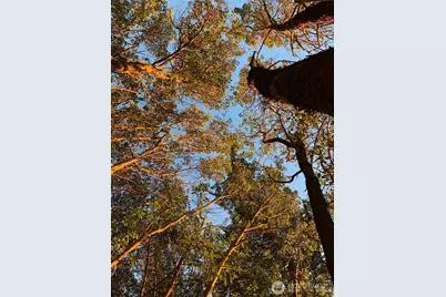 185 Lucky Way, Friday Harbor, WA 98250 - Photo 10