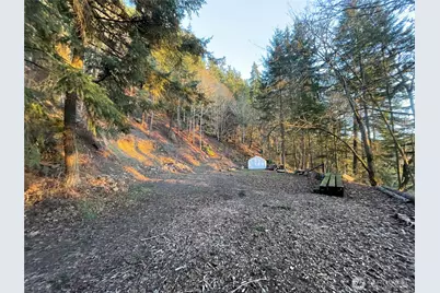185 Lucky Way, Friday Harbor, WA 98250 - Photo 34
