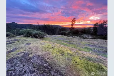 185 Lucky Way, Friday Harbor, WA 98250 - Photo 30
