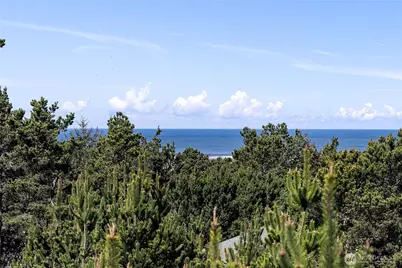 29375 L Lane, Ocean Park, WA 98640 - Photo 12