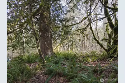 12402 131st Street NW, Gig Harbor, WA 98329 - Photo 8