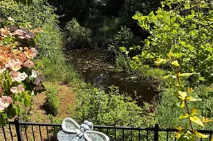 23434 NE 129th Ct, Redmond, WA 98053 - Photo 36