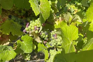 6007 SW 240th St, Vashon, WA 98070 - Photo 32