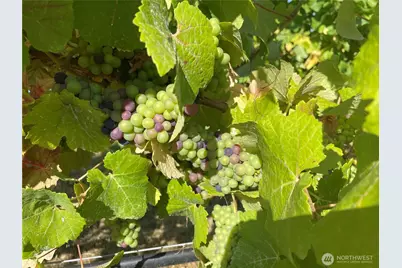 6007 SW 240th Street, Vashon, WA 98070 - Photo 30