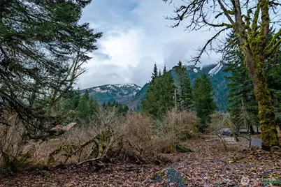 0 Mosquito Lake Road, Deming, WA 98244 - Photo 4