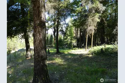 0 Tbd Snowbunny Ridge Drive, Tonasket, WA 98855 - Photo 14