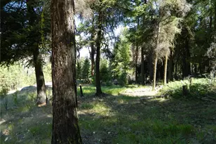 0 Tbd Snowbunny Ridge Dr, Tonasket, WA 98855 - Photo 14