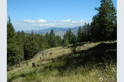 0 Tbd Snowbunny Ridge Drive, Tonasket, WA 98855 - Photo 2