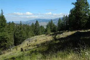 0 Tbd Snowbunny Ridge Dr, Tonasket, WA 98855 - Photo 2