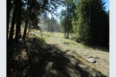 0 Tbd Snowbunny Ridge Drive, Tonasket, WA 98855 - Photo 20