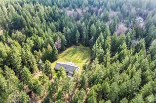 17506 144th St NW, Gig Harbor, WA 98329 - Photo 38