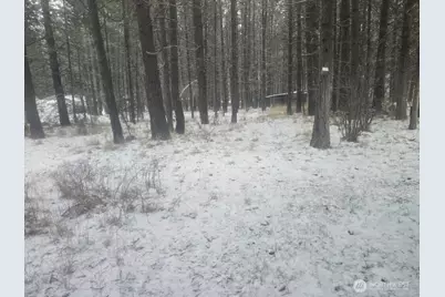 25691 E Valley View Drive, Lincoln, WA 99147 - Photo 18