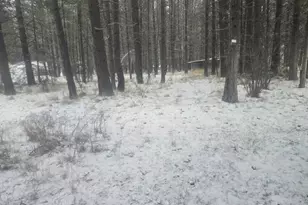 25691 E Valley View Dr, Lincoln, WA 99147 - Photo 18