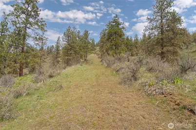 4681 Brisky Canyon Road, Cashmere, WA 98815 - Photo 6