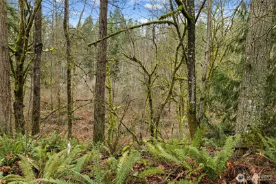 24710 217th Avenue SE, Maple Valley, WA 98038 - Photo 30