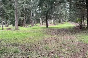 5134 Old Military Rd SE, Tenino, WA 98589 - Photo 34