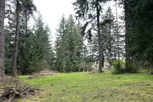 5134 Old Military Rd SE, Tenino, WA 98589 - Photo 32