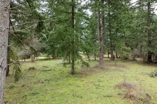 5134 Old Military Rd SE, Tenino, WA 98589 - Photo 38