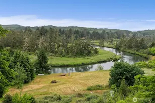 1508 Bloomhardt Rd, Raymond, WA 98577 - Photo 38