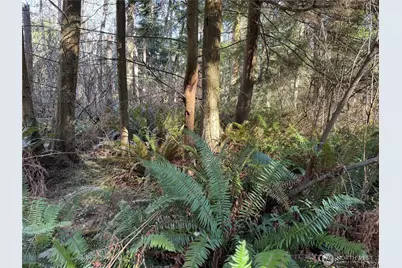 28062 State Route 525, Coupeville, WA 98239 - Photo 14