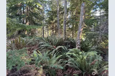 28062 State Route 525, Coupeville, WA 98239 - Photo 12