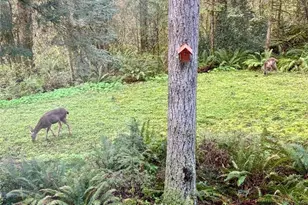 30606 NE Harrison Rd, Battle Ground, WA 98604 - Photo 34