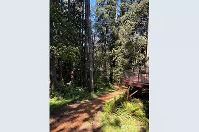 30606 NE Harrison Road, Battle Ground, WA 98604 - Photo 32