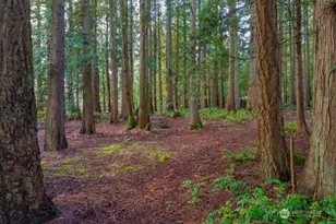 24226 SE 378th St, Enumclaw, WA 98022 - Photo 6