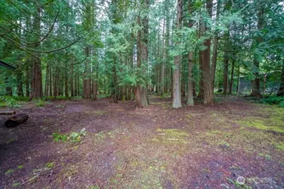 24226 SE 378th Street, Enumclaw, WA 98022 - Photo 22