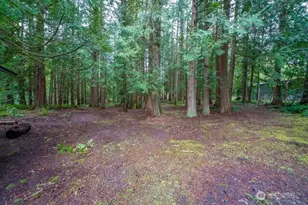 24226 SE 378th St, Enumclaw, WA 98022 - Photo 22