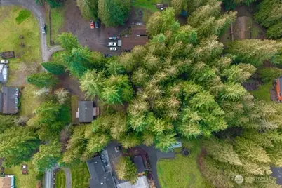 24226 SE 378th Street, Enumclaw, WA 98022 - Photo 8