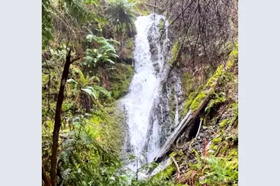 104 Barn Owl Trail, Orcas Island, WA 98245 - Photo 6