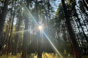 104 Barn Owl Trl, Orcas Island, WA 98245 - Photo 32