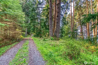 104 Barn Owl Trail, Orcas Island, WA 98245 - Photo 16