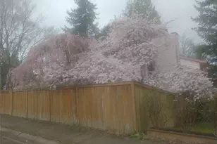 8129 NE 131st St, Kirkland, WA 98034 - Photo 36