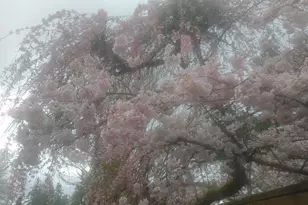 8129 NE 131st St, Kirkland, WA 98034 - Photo 36