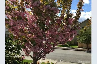 2725 65th Street SE, Auburn, WA 98092 - Photo 28