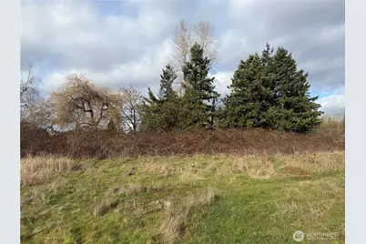 915 90th St E, Tacoma, WA 98445 - Photo 2